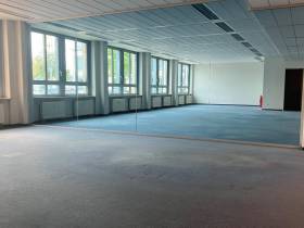 Freundliche Büroflügel mit eigenen Gestaltungsmöglichkeiten