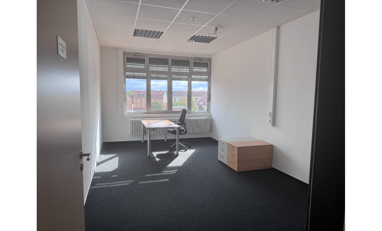 Arbeitsplatz Carl-Reuther-Straße Mannheim Waldhof