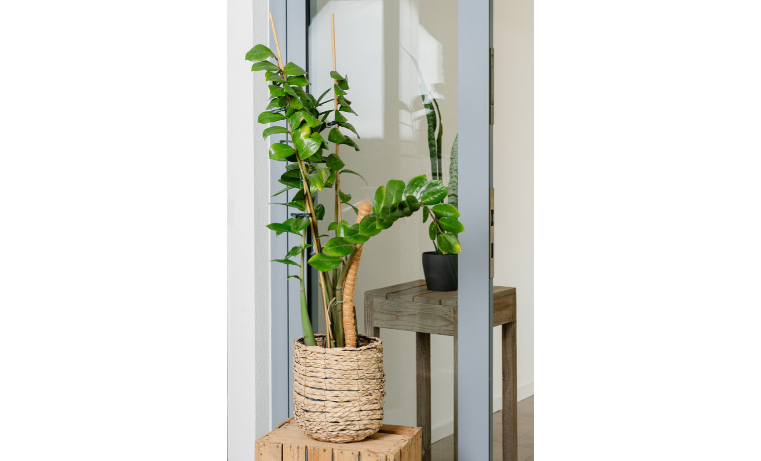 Shared Office Oskar-Jäger-Straße Köln Ehrenfeld