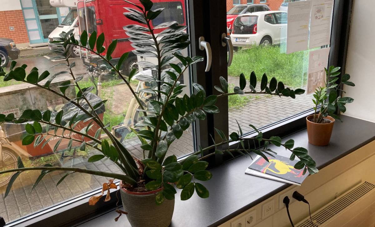 CoWorking Space mit Schreibtischen, Fenster