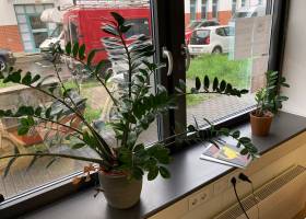 CoWorking Space mit Schreibtischen, Fenster