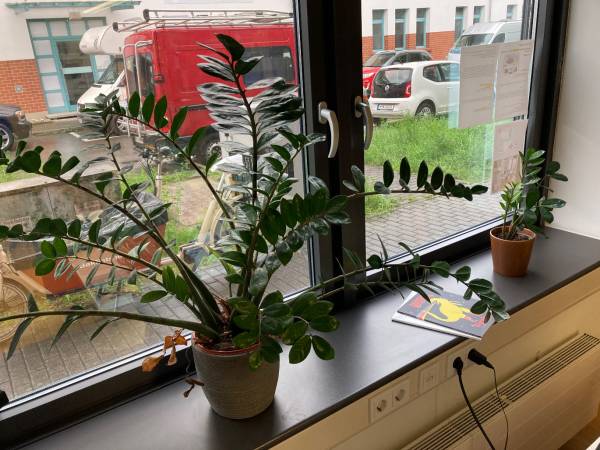 Moderne Bürogemeinschaft in Top-Lage von Konstanz-Paradies — Bild 4