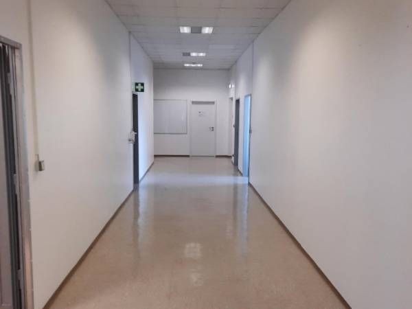 Schulungsfläche oder Büro in der Südstadt — Bild 5