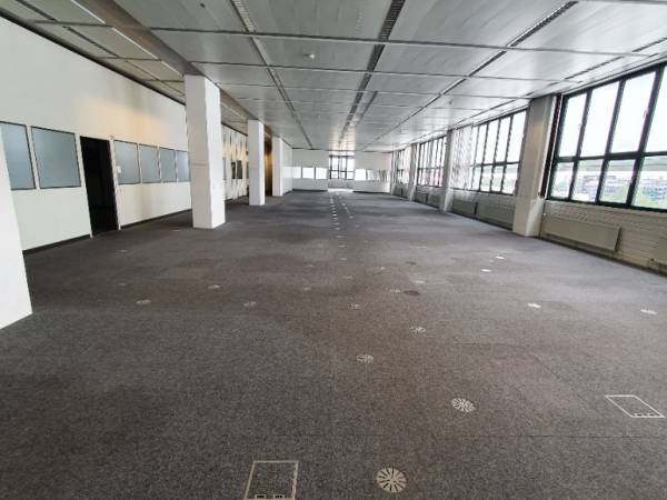 Attraktive alleinstehende Büroflächen in ruhiger zentraler Lage — Bild 5