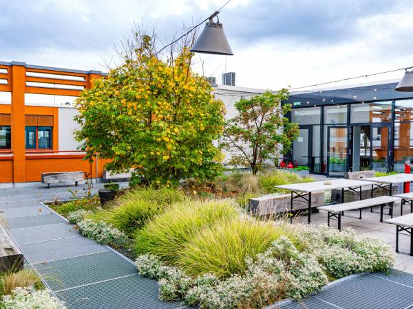 Flexible Büroflächen mit Dachterrasse und Panoramablick — Bild 1