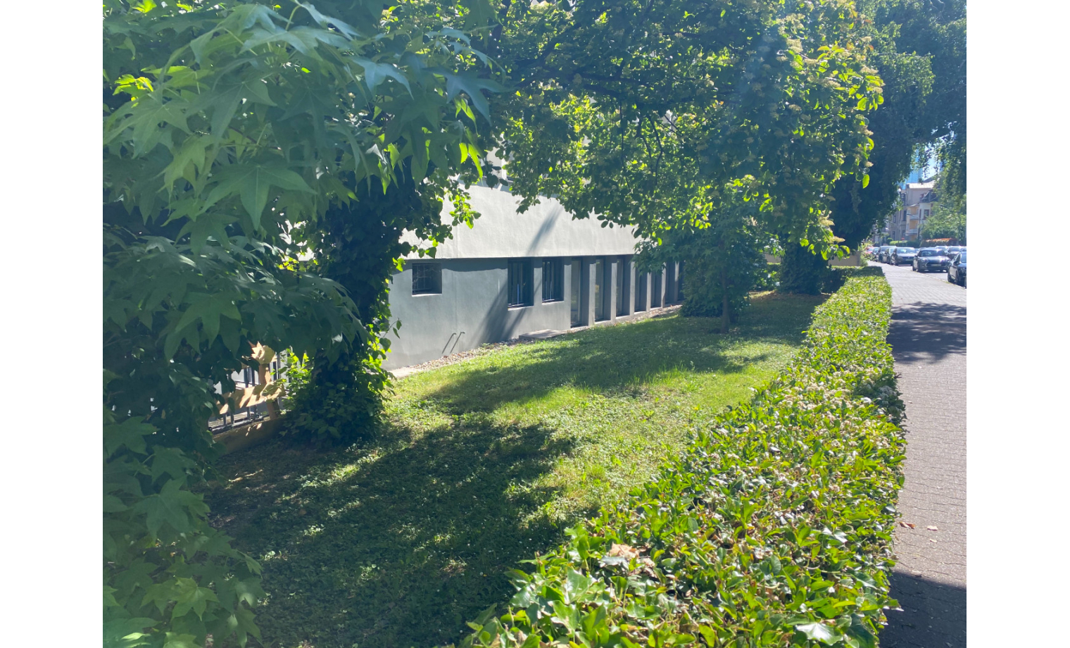 Office Sharing Senckenberganlage Frankfurt am Main Westend-Süd