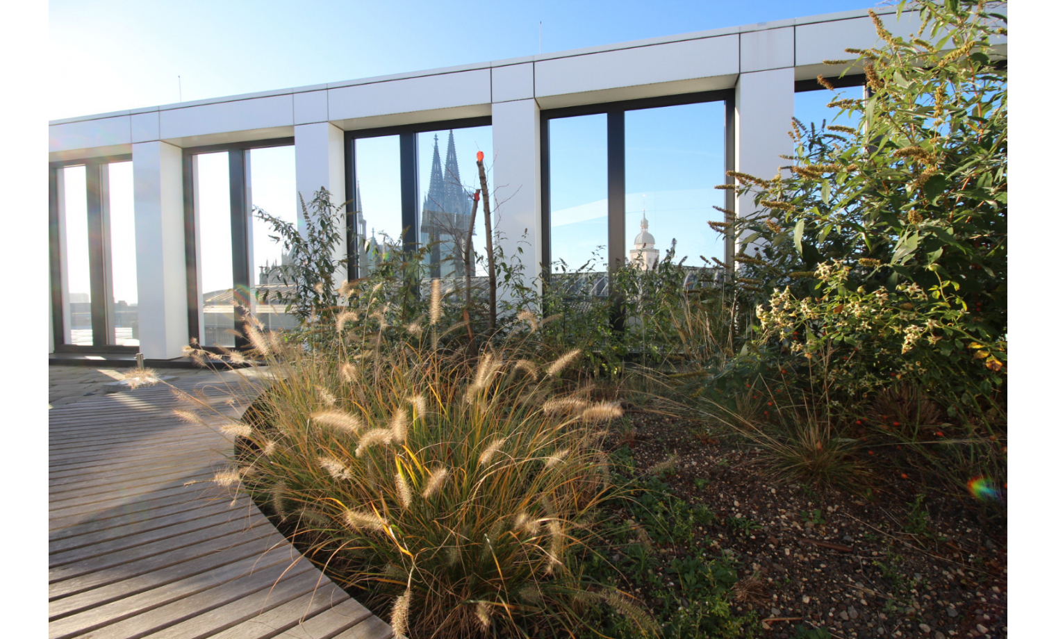 Office Sharing Breslauer Platz Köln Altstadt-Nord