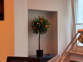 Flexdesk & Büroräume in Berlin – Arbeiten, vernetzen, wohlfühlen ab 300€