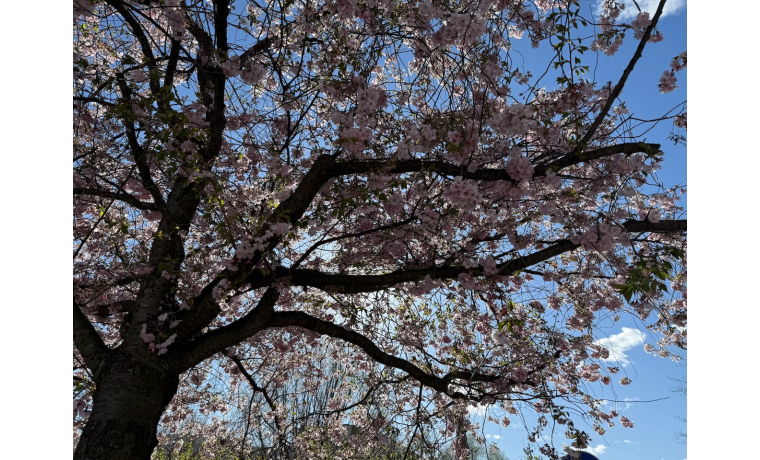 Arbeitsplatz Marthastraße Berlin Wilhelmsruh