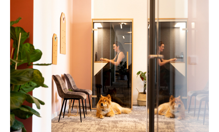 Shared Office Grußdorfstraße Berlin Reinickendorf