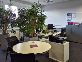 Ruhiger Arbeitsplatz in professioneller Bürogemeinschaft – Nürnberg