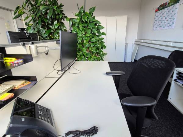 Professionelle Bürogemeinschaft mit Kanalblick in Nürnberg-Maiach — Bild 2