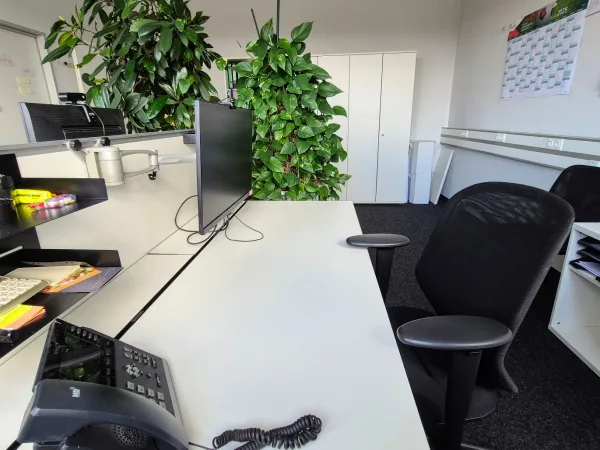 Schreibtischplatz in Nürnberg (Maiach) – Professionelle Bürogemeinschaft in Nürnberg-Maiach mit Kanalblick — Bild 2
