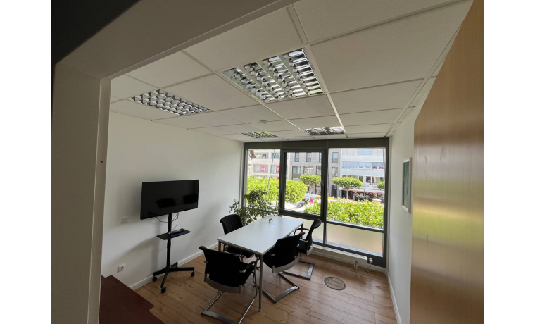 Büroraum Louisenstr. Bad Homburg v. d. Höhe Sachsenhausen