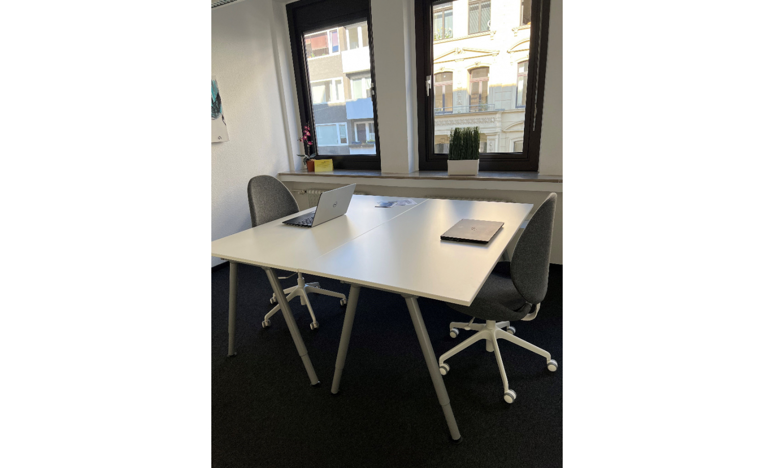 Coworking Hansaring Köln Neustadt-Nord