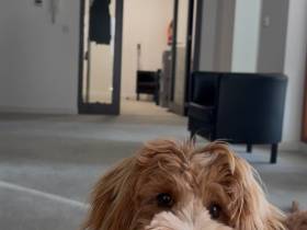 Raus aus dem Homeoffice? Komm in unsere Bürogemeinschaft!