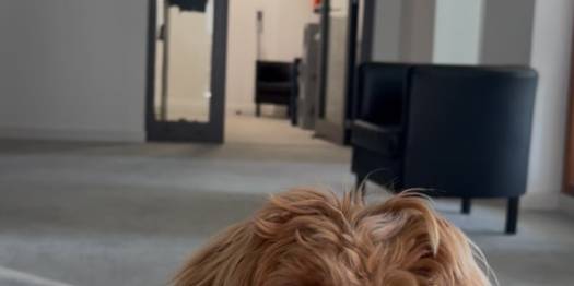 Raus aus dem Homeoffice? Komm in unsere Bürogemeinschaft!