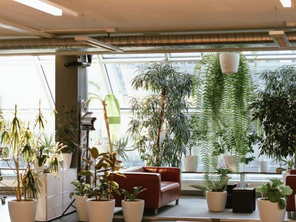 Co-Working in Zürich — Bild 2