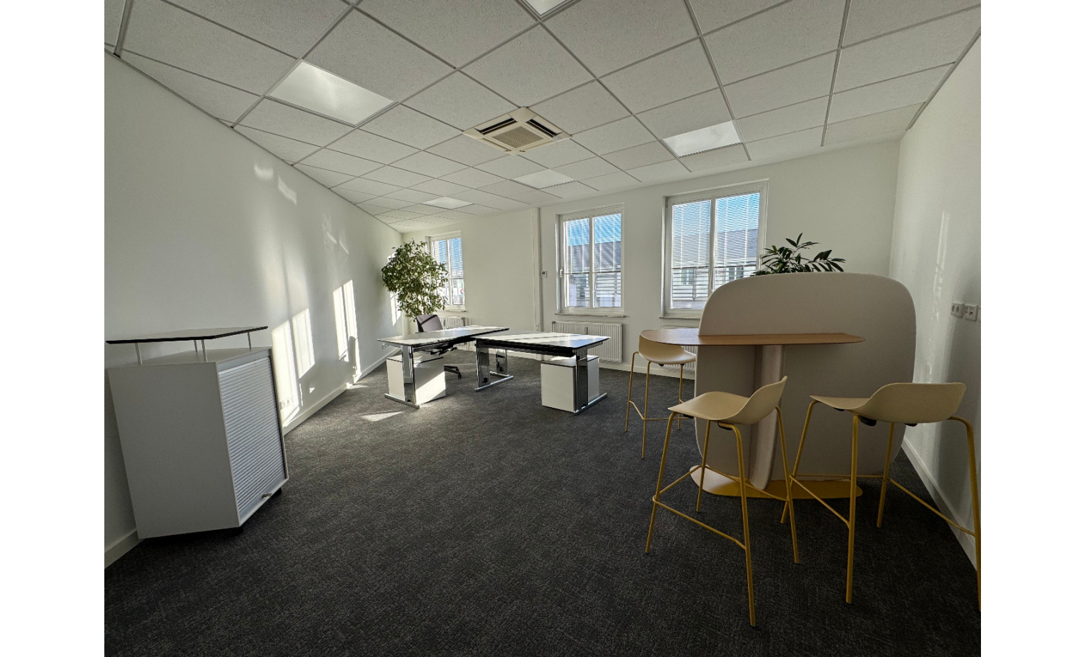 Shared Office Carl-Zeiss-Ring Ismaning 