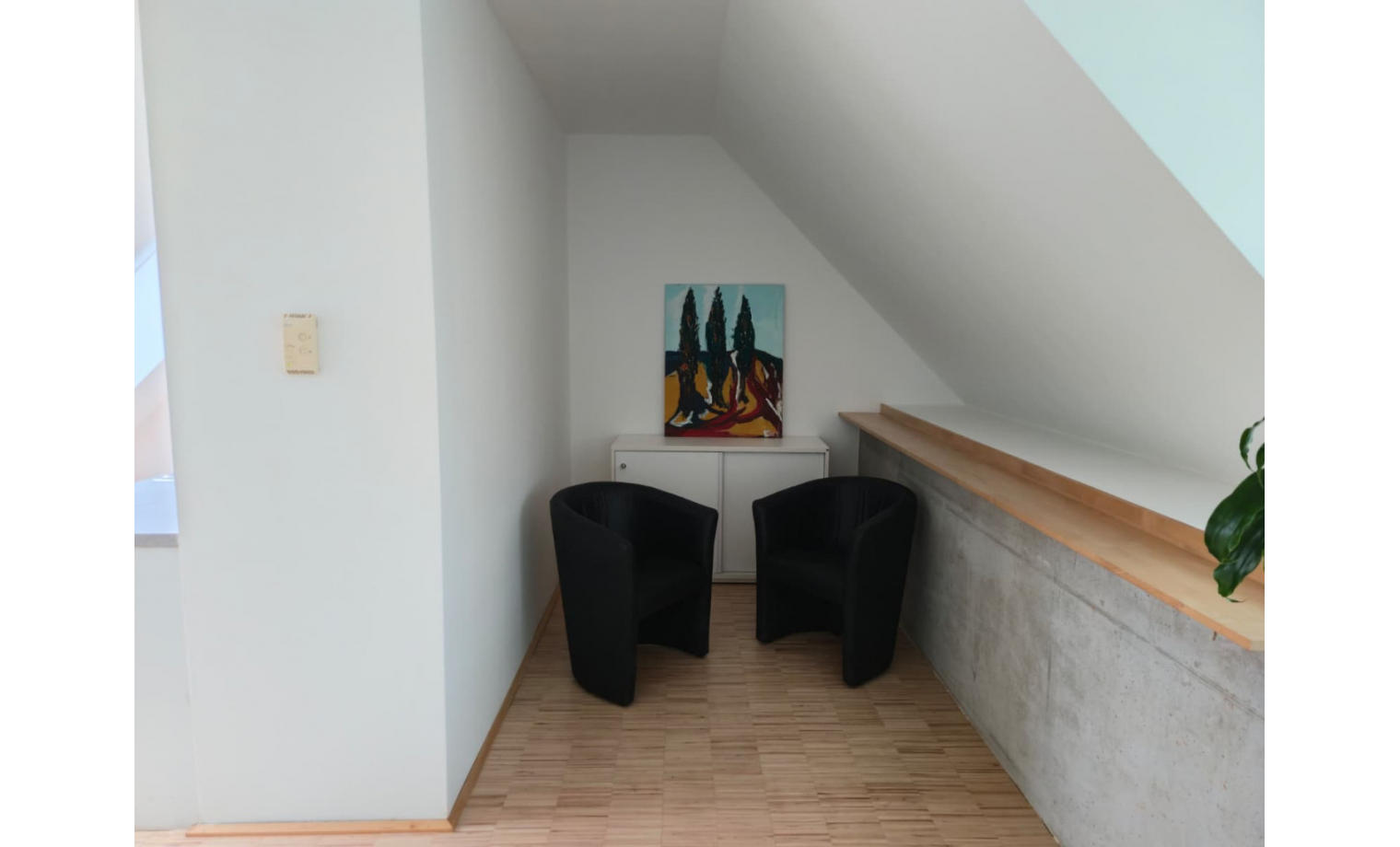 Büroraum Liechtensteinstraße Wien 