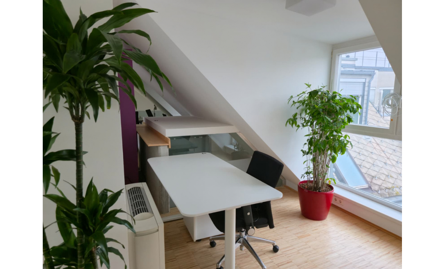 Coworking Space Liechtensteinstraße Wien 