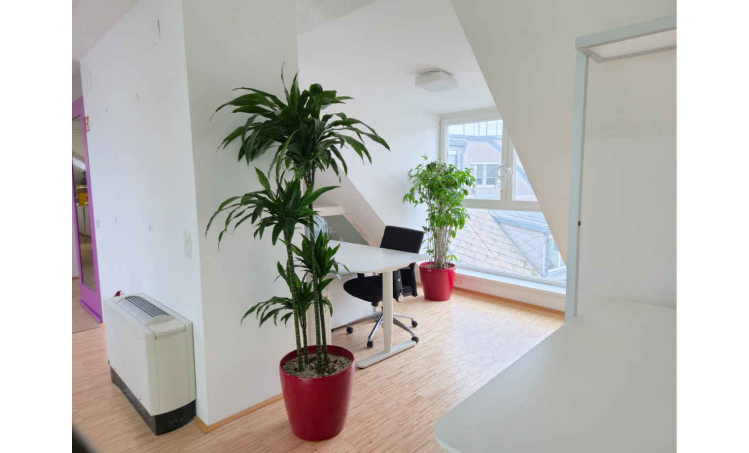 Bürogemeinschaft Liechtensteinstraße Wien 