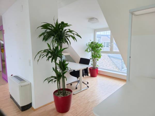 Modernste Co-Working Spaces im Dachgeschoss — Bild 6