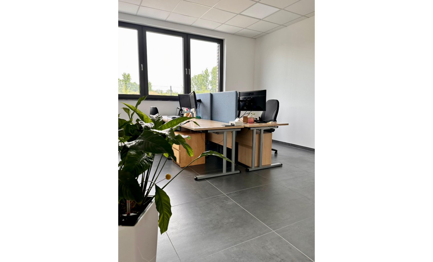 Büro mieten Marie-Curie-Straße Brühl 