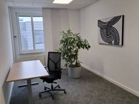 Konzentriert arbeiten im strukturierten Umfeld – hochwertige Einzelbüros mit integriertem Besprechungsraum.