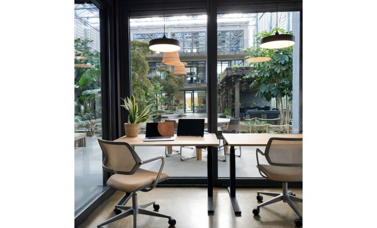 Office Sharing Burdastraße Schutterwald 