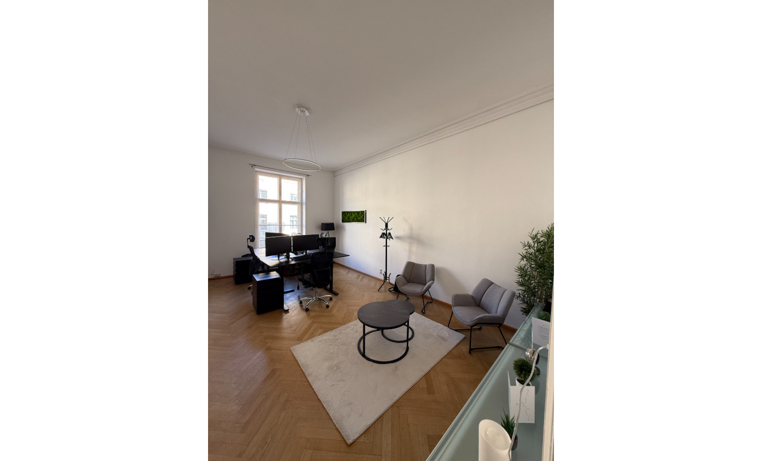 Büroräume Maximilianstraße München Altstadt-Lehel