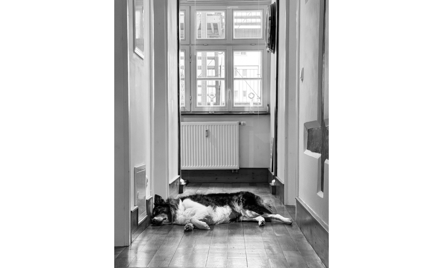 Bürogemeinschaft Waldstraße Karlsruhe 