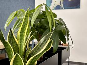 Modernes Business Center in Brühl – Neubau in hochwertiger Ausstattung