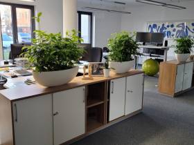 Moderner Büroraum in hochwertiger Bürogemeinschaft