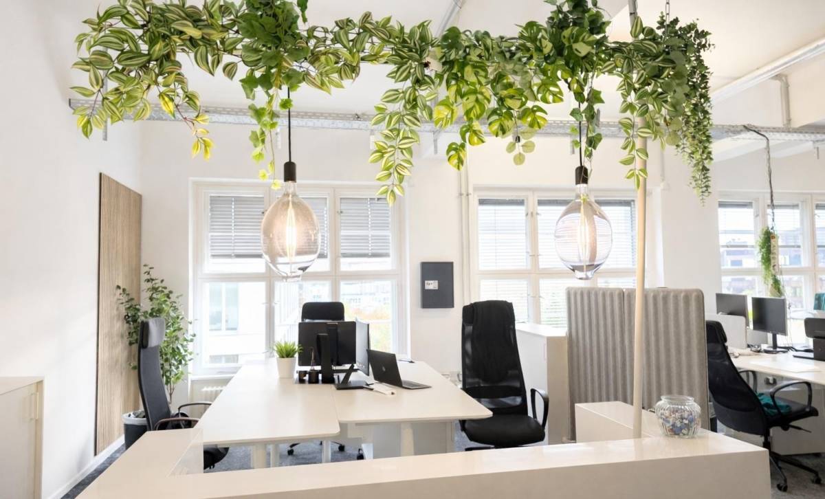 Lichtdurchflutetes Altbau-Büro in Bürogemeinschaft in Berlin-Kreuzberg