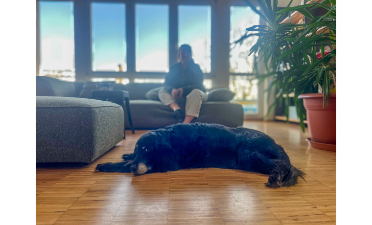 Shared Office Dornierstraße Sindelfingen 