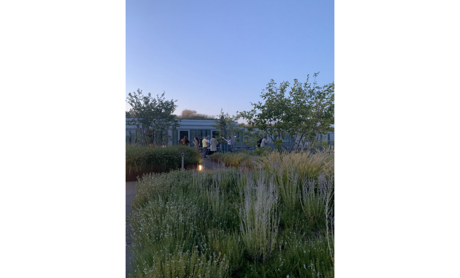 Office Sharing Niehler Straße Köln Nippes