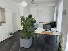 Einladende Bürogemeinschaft im Pallaswiesenviertel, Darmstadt