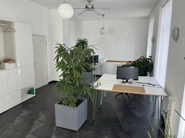 Einladende Bürogemeinschaft im Pallaswiesenviertel, Darmstadt — Bild 1