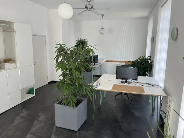 Schreibtischplatz in Darmstadt (Ost) – Helle und geräumige Bürogemeinschaft mit Tageslicht in Darmstadt-Ost — Bild 1