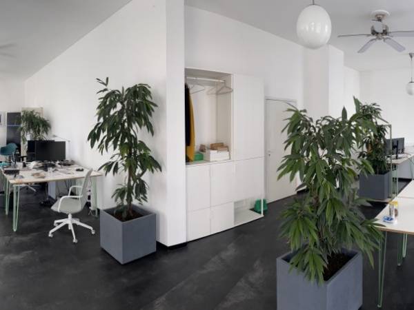 Einladende Bürogemeinschaft im Pallaswiesenviertel, Darmstadt — Bild 5