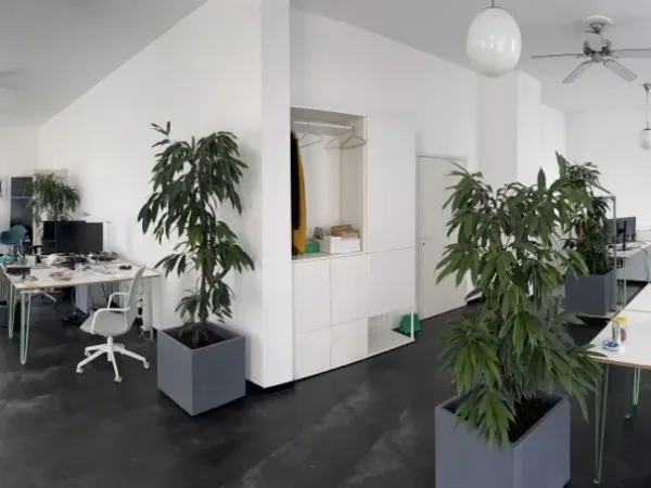 Schreibtischplatz in Darmstadt (Ost) – Helle und geräumige Bürogemeinschaft mit Tageslicht in Darmstadt-Ost — Bild 5