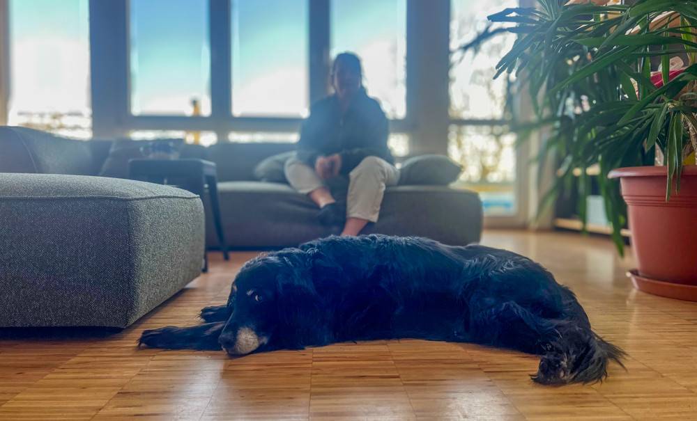 Moderner Female Coworking Space in Böblingen-Flugfeld