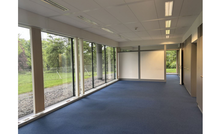 Büro mieten Palmaille Hamburg Altona