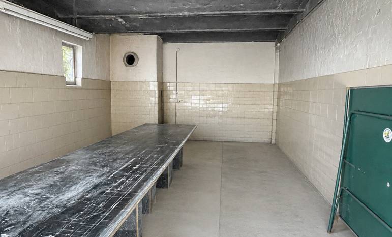 Helle Gewerbefläche mit Gartenoption im Altbau in Berlin-Reinickendorf
