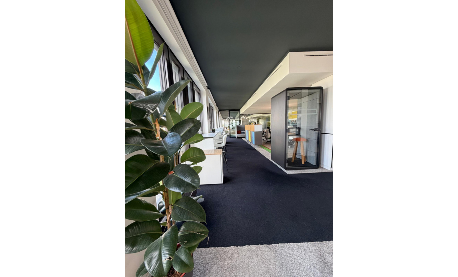 Coworking Space Erika Mann Str. München Neuhausen-Nymphenburg
