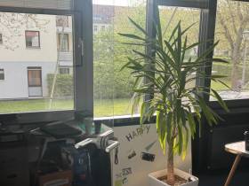 Heller Büroraum zu vermieten in Köln Weiden