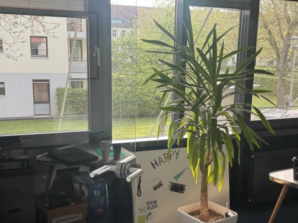 Ruhiger Büroraum in Bürogemeinschaft in Köln-Weiden