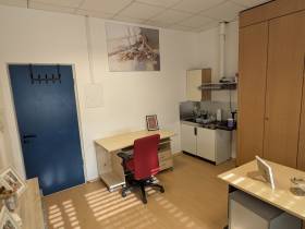 Büro, CoWorking oder Logistikzentrale in GSI nähe