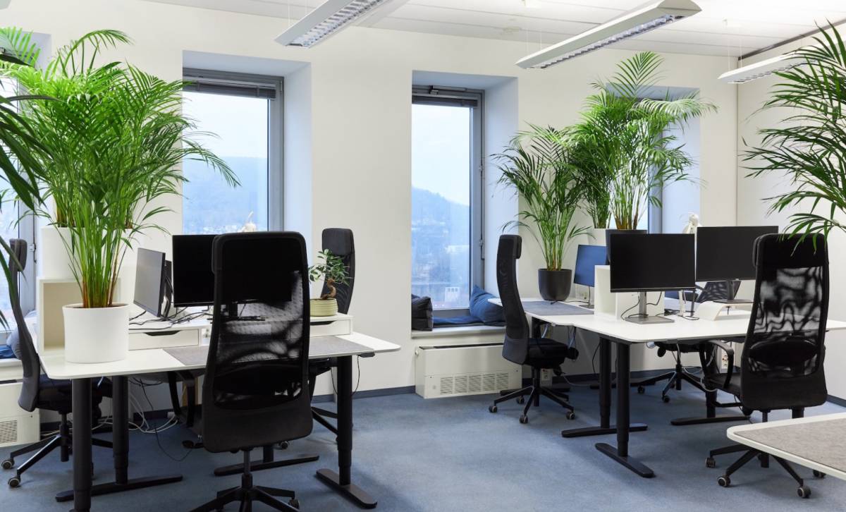 Coworking-Office
